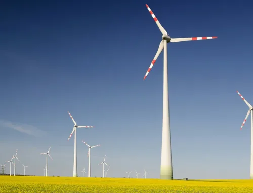 Vindkraftudbud maj 2026: